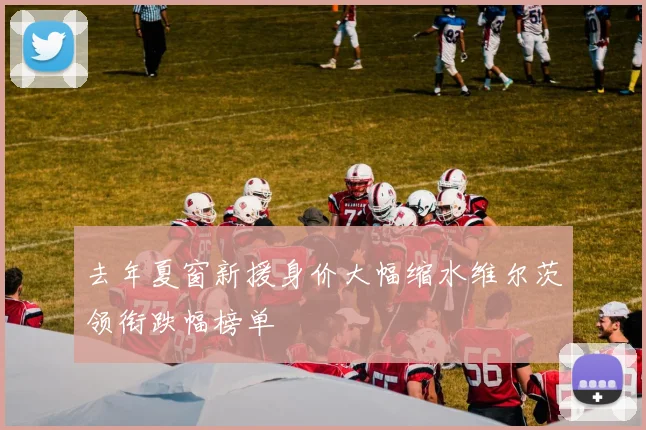 去年夏窗新援身价大幅缩水维尔茨领衔跌幅榜单