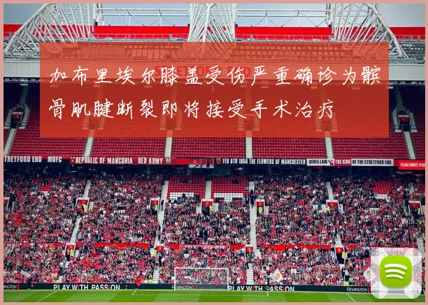 加布里埃尔膝盖受伤严重确诊为髌骨肌腱断裂即将接受手术治疗