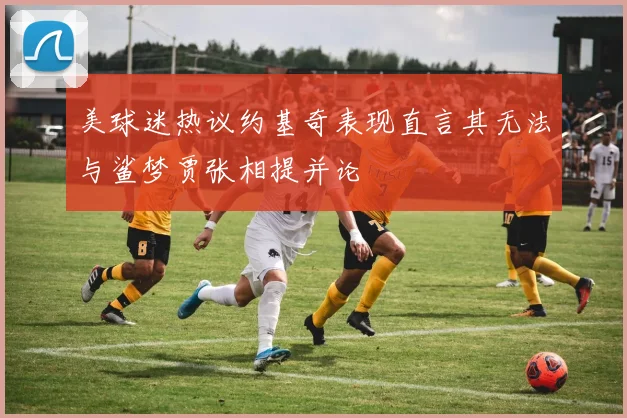 美球迷热议约基奇表现直言其无法与鲨梦贾张相提并论